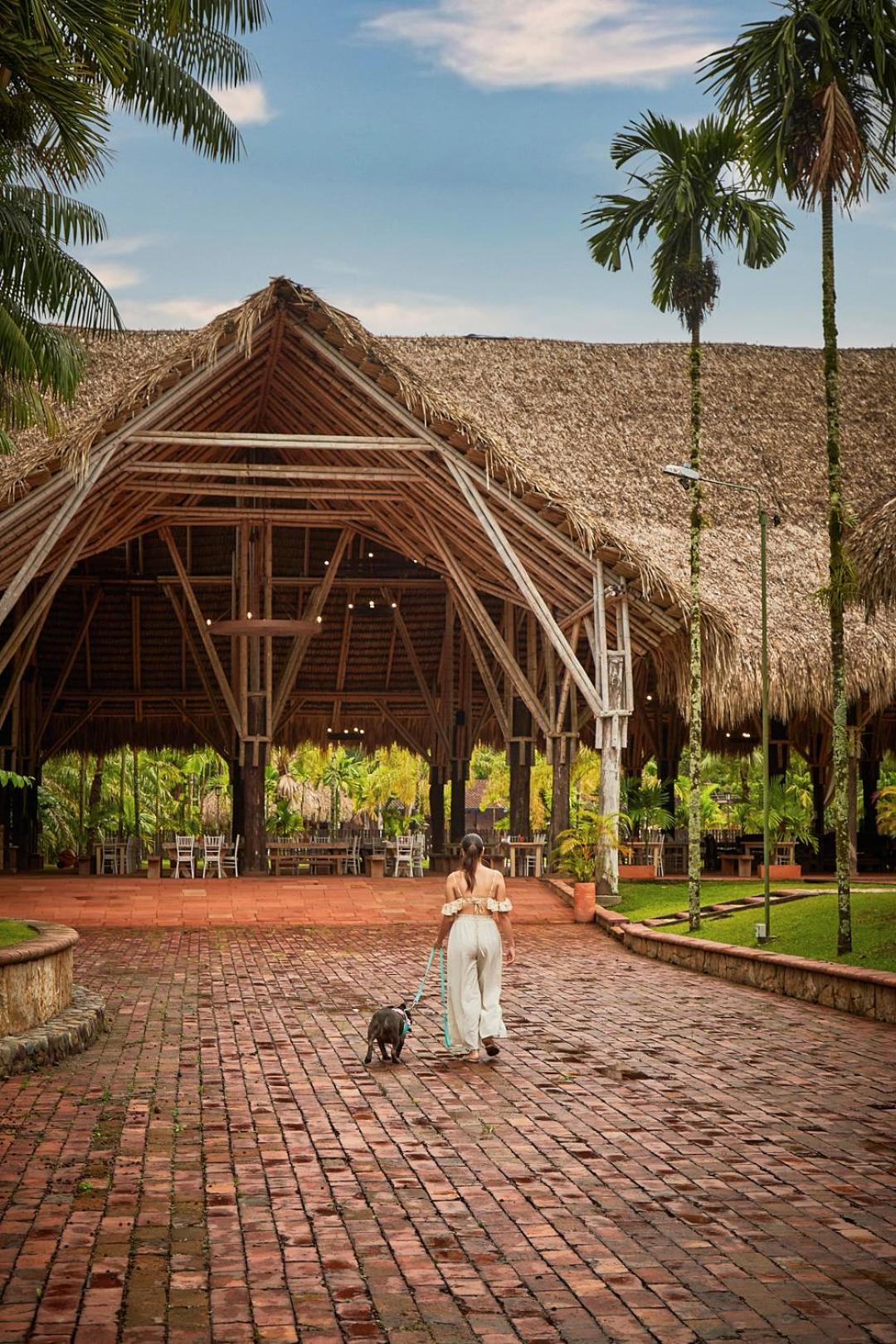 Hotel Reserva De Piedemonte La Palmera Bagian luar foto
