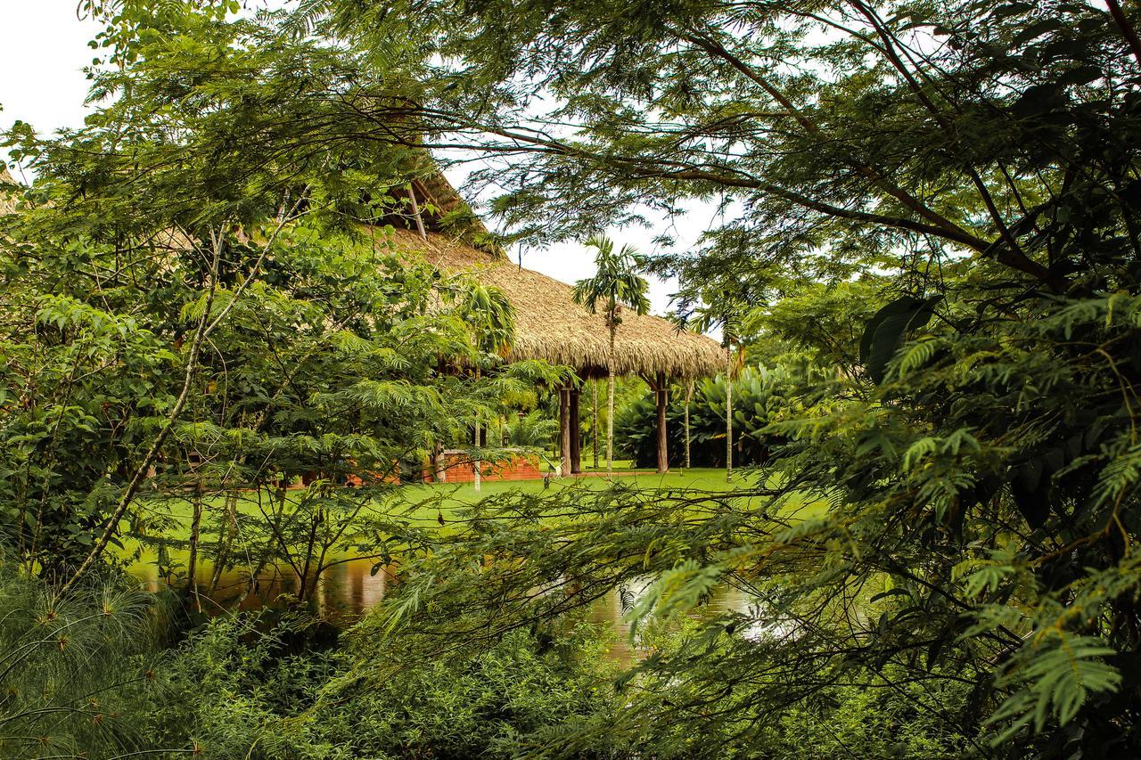 Hotel Reserva De Piedemonte La Palmera Bagian luar foto